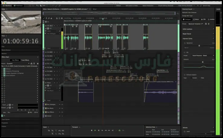 تحميل برنامج​ Adobe Audition