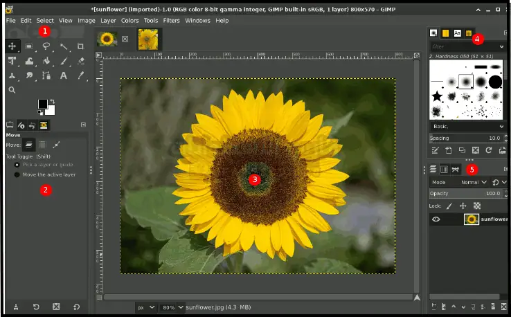 تحميل برنامج جيمب للكمبيوتر GIMP 2025 برابط مباشر مجاناً