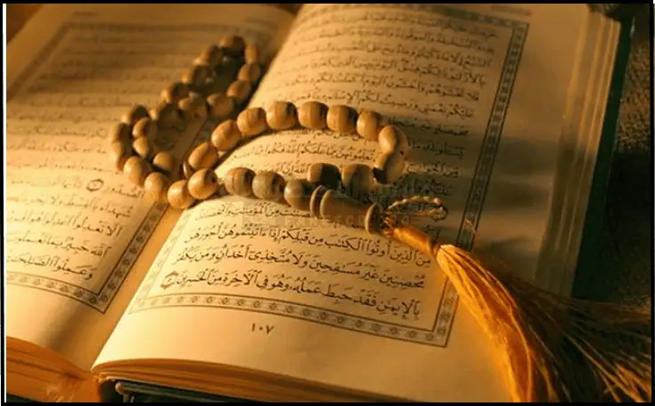 تحميل القران الكريم مكتوب للكمبيوتر​ كاملا مجاناً بدون نت 2025